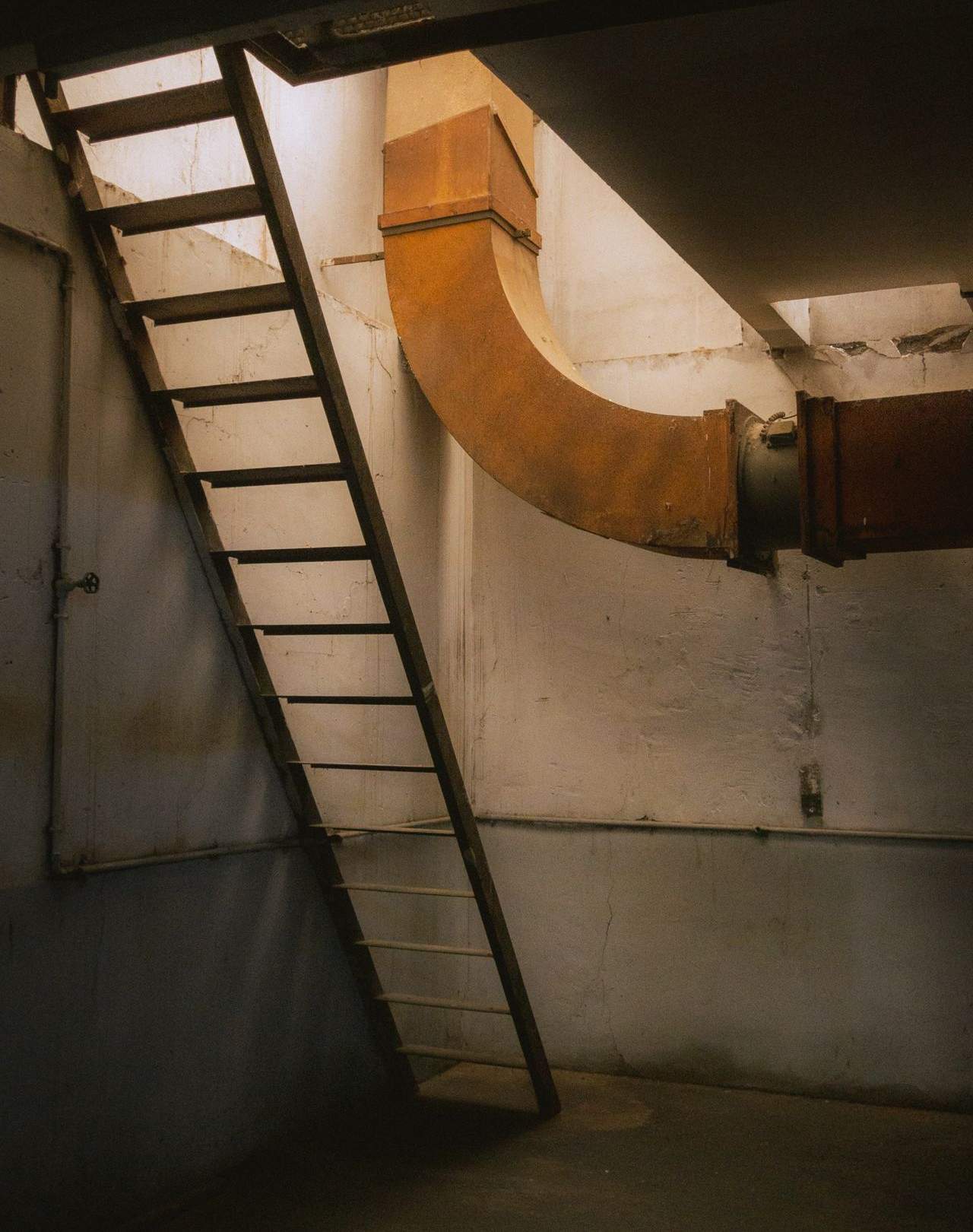Basement Mold Removal