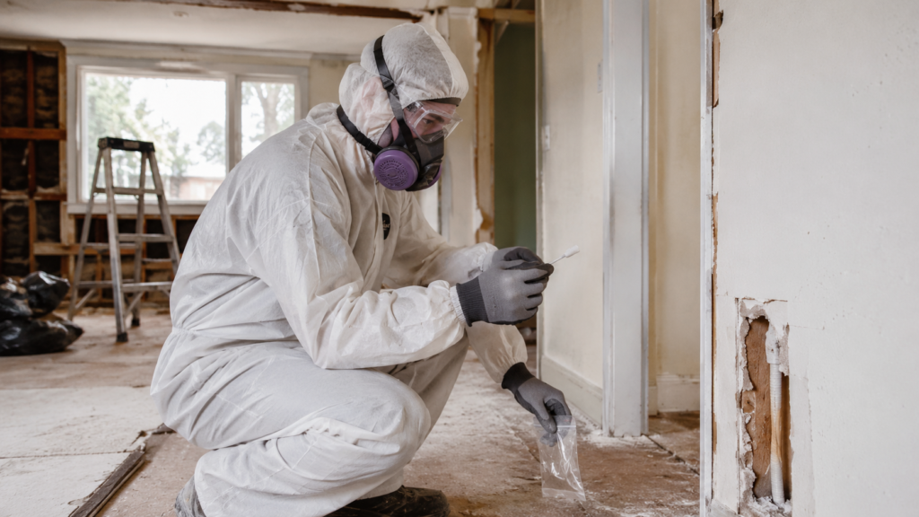 Hazardous Materials Inspection Before Home Renovation
