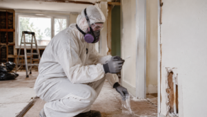 Hazardous Materials Inspection Before Home Renovation